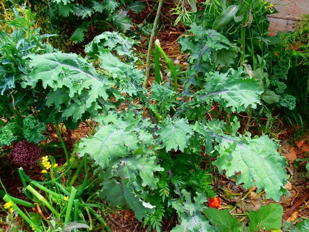 photo: Άντυ Παξινός