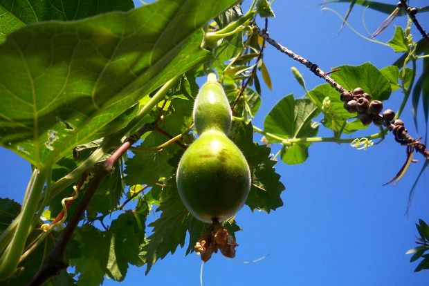 photo: Άντυ Παξινός
