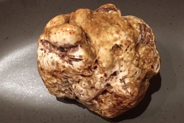 photo: Κική Τριανταφύλλη