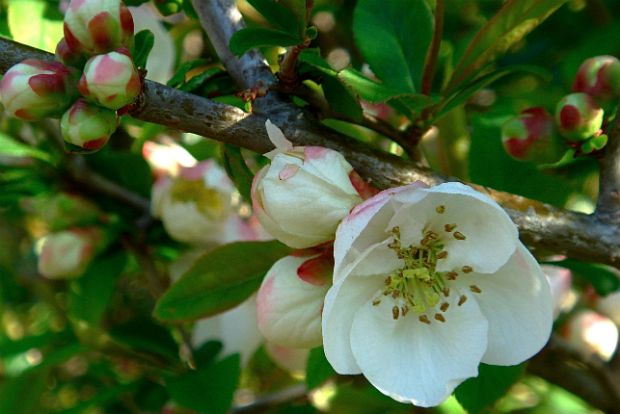 photo: marcbanksphotos@Flickr