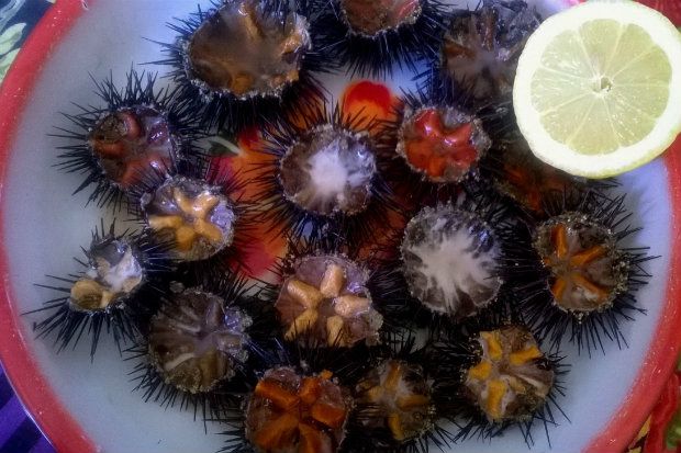 photo: Αννα Γαλανού