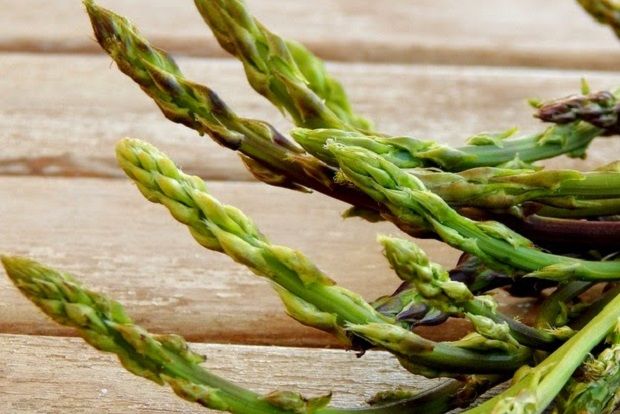 [photo: Χρυσαυγή Μπόμπολα]