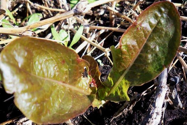 photo: Άντυ Παξινός