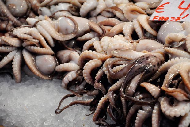 Φωτο: Δάφνη Κουγέα