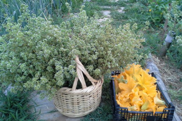 Ο ξενώνας Αμανίτα στην Τσαγκαράδα Πηλίου [photo: Φιλάρετος Ψημένος]