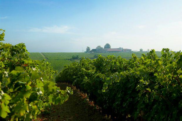 Photo: gerovassiliou.gr