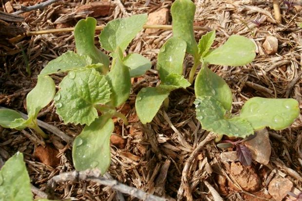 photo: Άντυ Παξινός