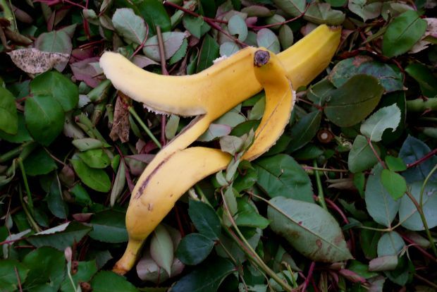 Στάχτη από το τζάκι / extension.oregonstate.edu