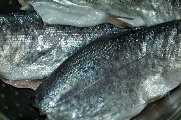 [photo: Νικος Μορόπουλος]