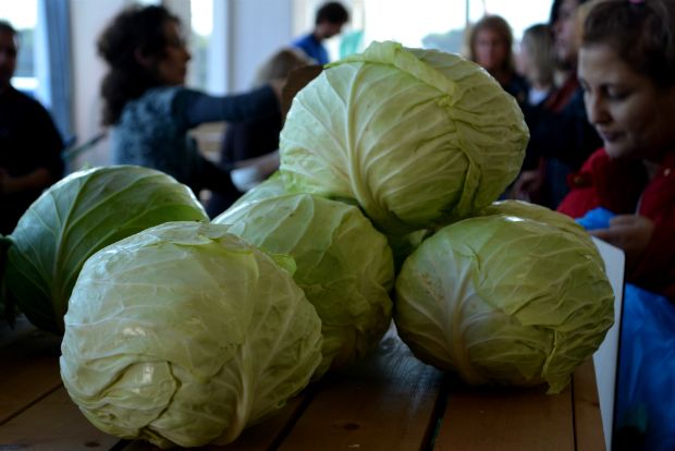 Φωτο: Αλεξάνδρα Γεωργακάκου