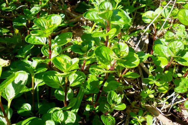 photo: Άντυ Παξινός