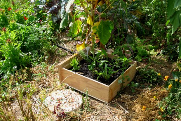 Photo: blogs.dickinson.edu