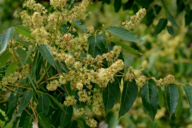 Photo: jonnobird@Flickr