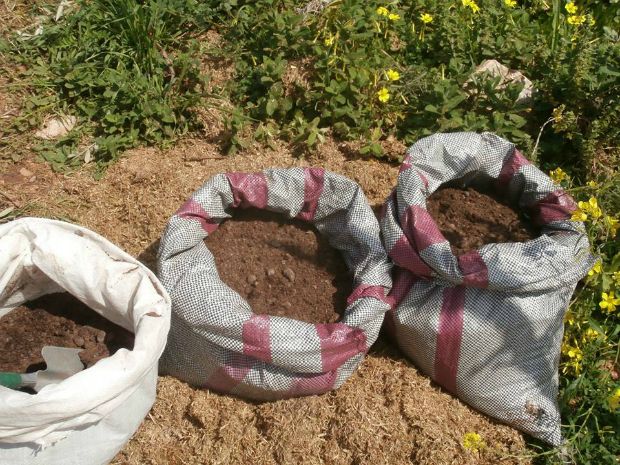 photo: Άντυ Παξινός