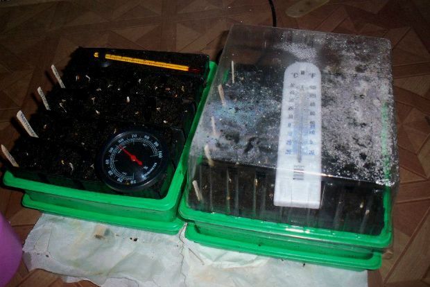 photo: Άντυ Παξινός