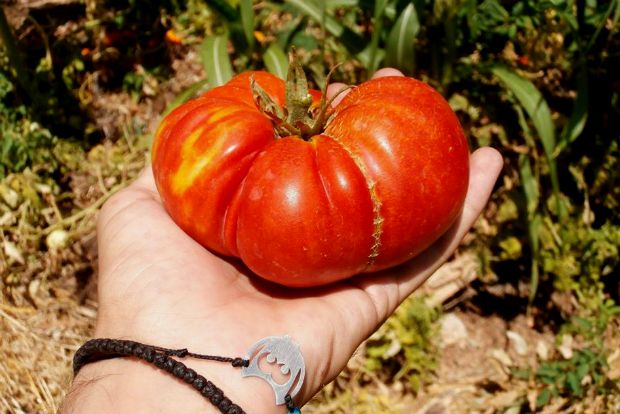 photo: Άντυ Παξινός