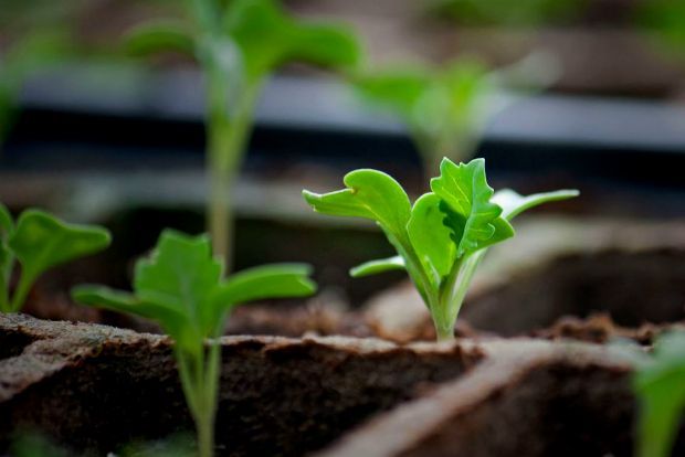 Photo: elisabethrobson@Flickr