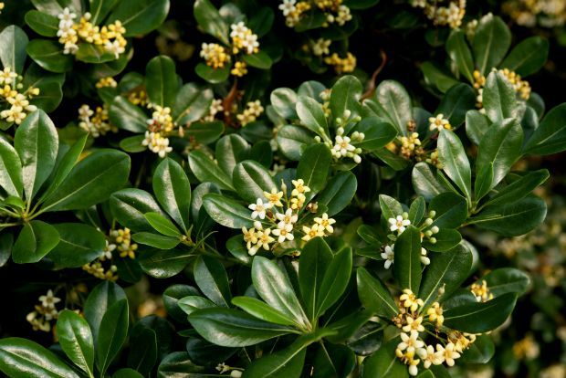 Photo: tezz450d@Flickr