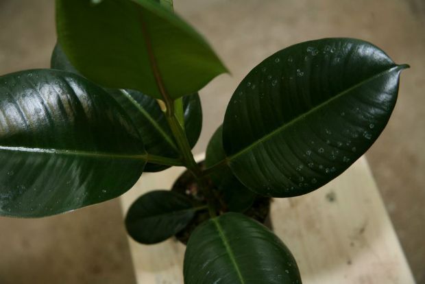 Photo: maloma08@Flickr