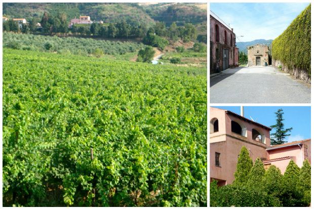 [Facebook/Nicolas Gatti]