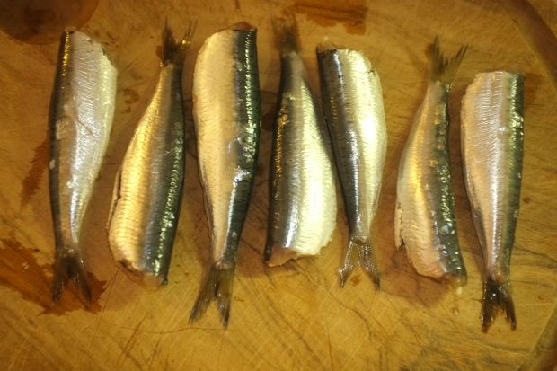 photo: Νίκος Μορόπουλος