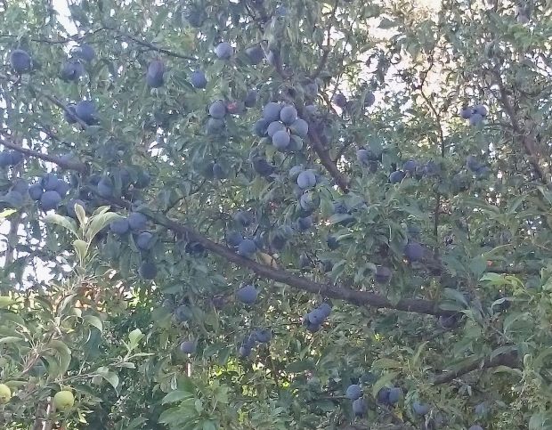 Photo: Νίκος Μορόπουλος