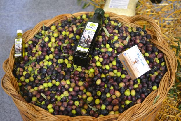 Φωτο: Αλεξάνδρα Γεωργακάκου