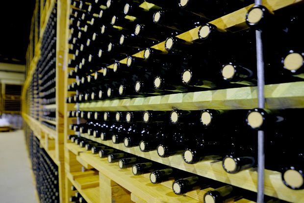 Φωτο: Έβελυν Φώσκολου