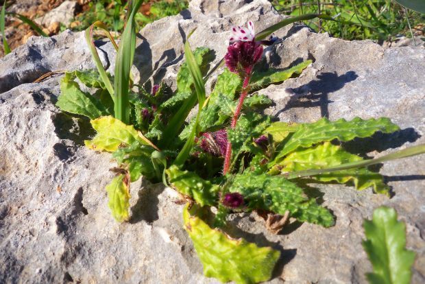 photo: Άντυ Παξινός