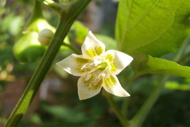 Photo: Αντυ Παξινός