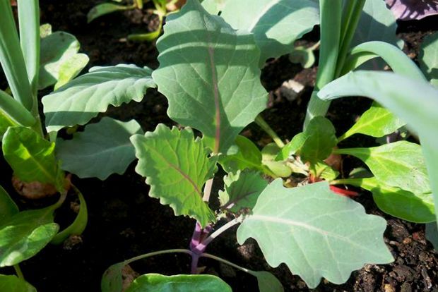 photo: Άντυ Παξινός