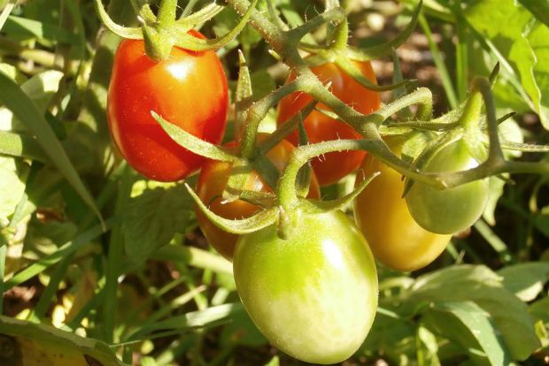 photo: Άντυ Παξινός