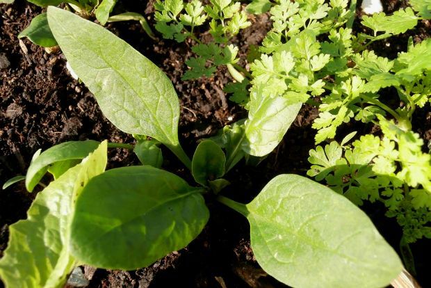 photo: Άντυ Παξινός