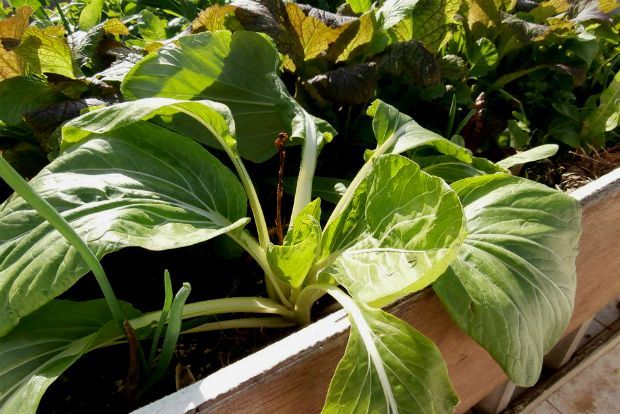 photo: Άντυ Παξινός