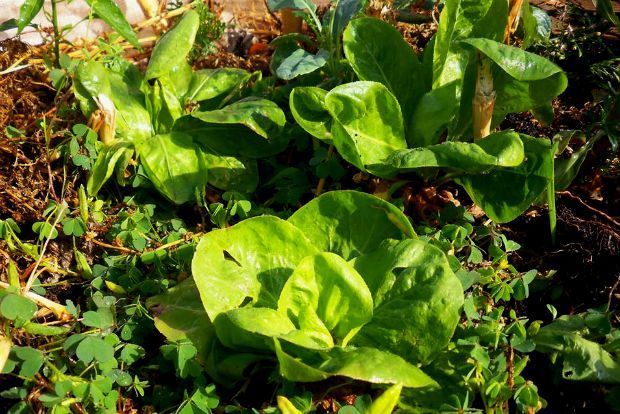 photo: Άντυ Παξινός