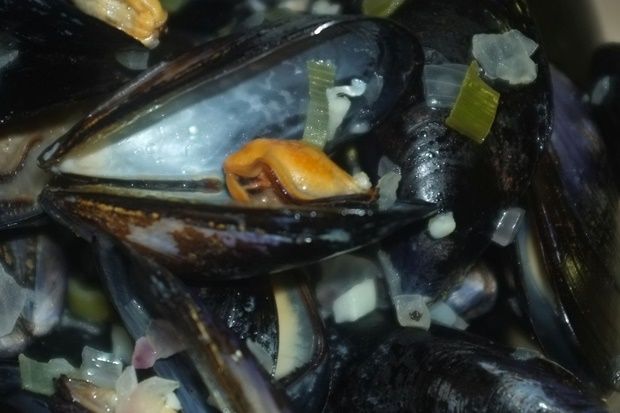 [photo: Νικος Μορόπουλος]