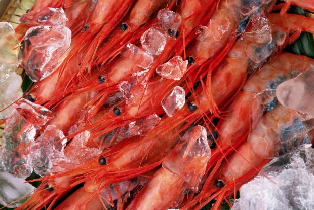 Photo: aqualifeforyou.blogspot.com