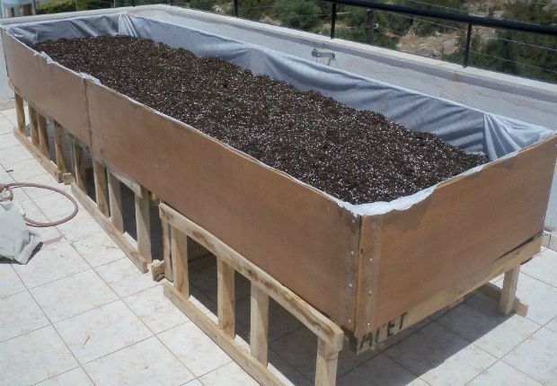 photo: Άντυ Παξινός