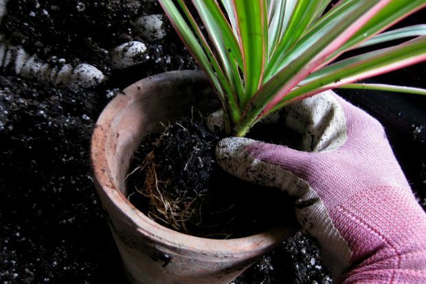 Photo: markr82@Flickr