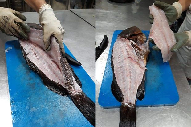 [photo: Μάνια Διαμαντοπούλου]