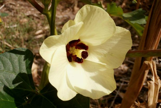 photo: Άντυ Παξινός