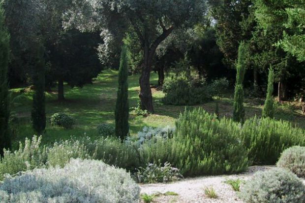 Photo: mediterraneangardensocietygreece.org