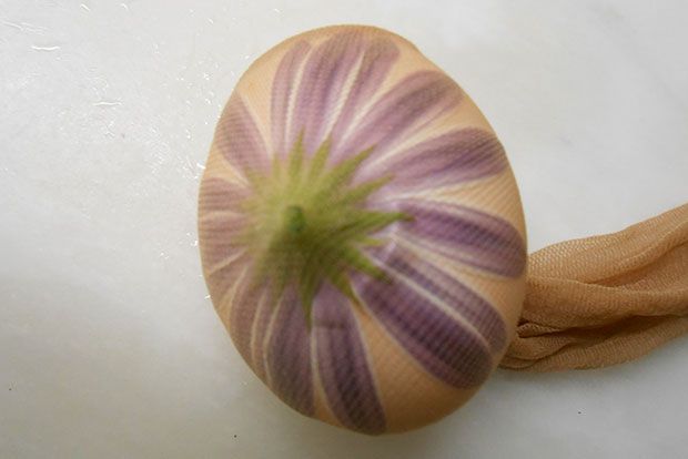 photo: Αμαλία Λογαρά