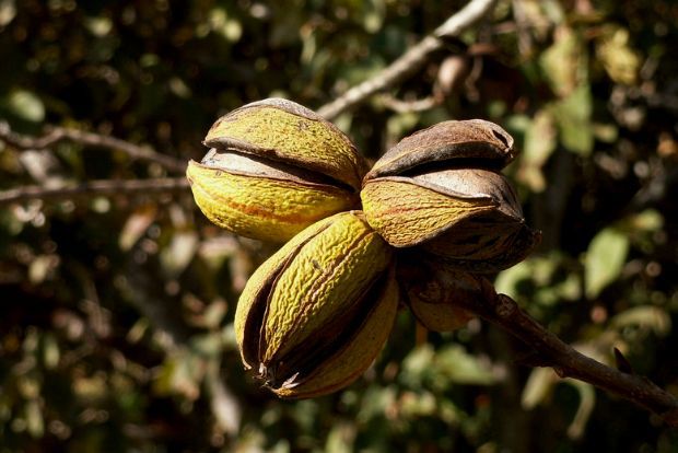 Photo: dblightsey@Flickr