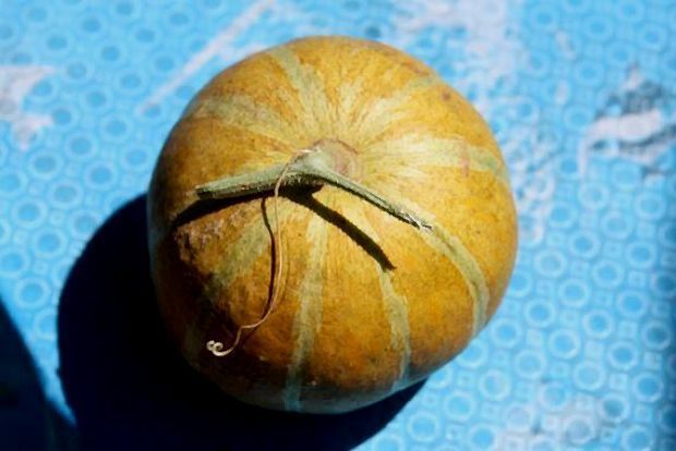 [Photo: maggiemason@Flickr]