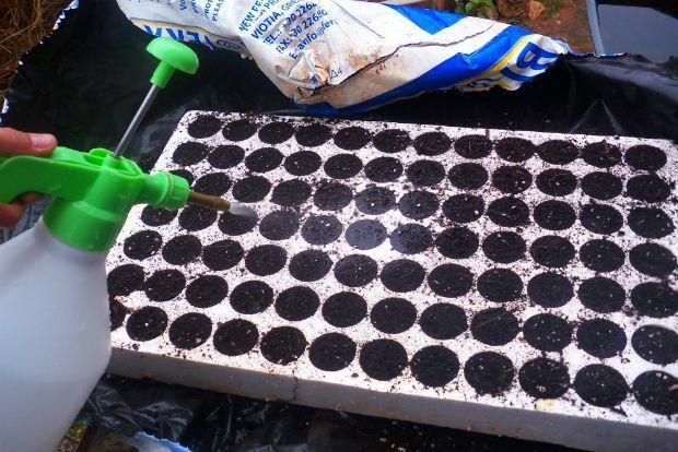 photo: Άντυ Παξινός