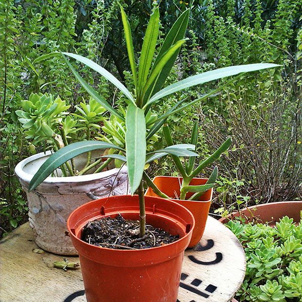 photo: Μαρία Πετρίδη