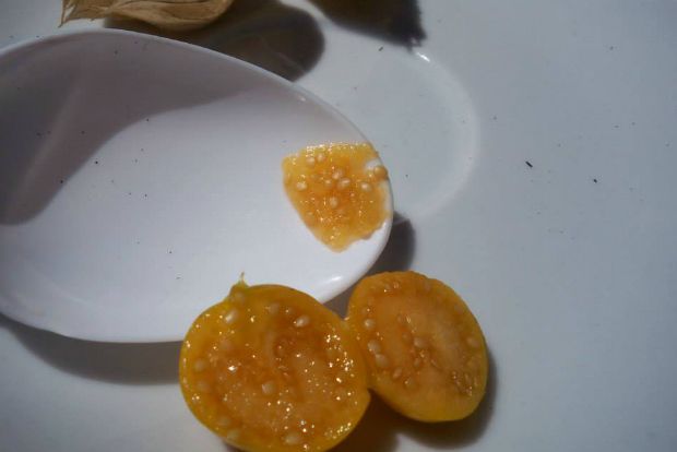 φωτό: Άντυ Παξινός