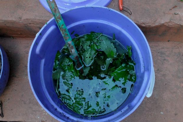 Photo: soils-permaculture-lebanon.com