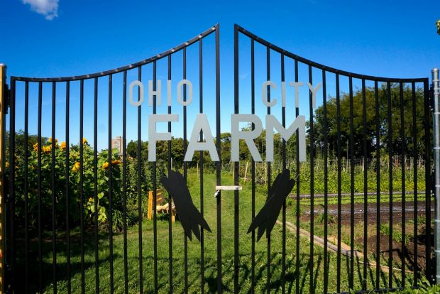 Photo: landscapevoice.com